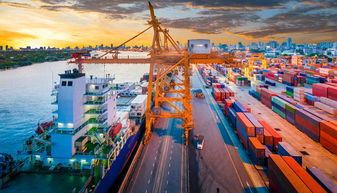 擴(kuò)大進(jìn)口 消費(fèi)市場添利好